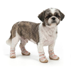 Shih Tzu Modeling Double-Strap Summer Dog Shoes Blush Pink Small Shih Tzu dog standing comfortably wearing blush pink double-strap summer dog shoes with a tan base.