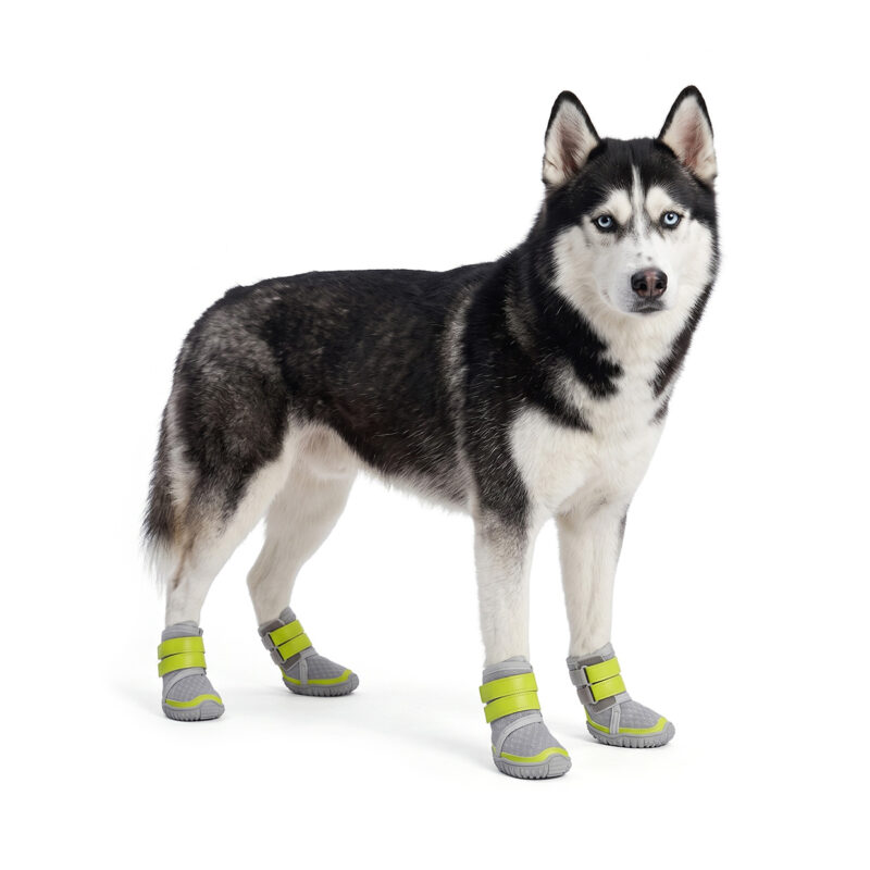 Siberian Husky Wearing Durable Walking Shoes For Large Dogs Grey Neon Lime Siberian Husky standing tall in durable walking shoes for large dogs featuring grey mesh panels and bright neon green straps.