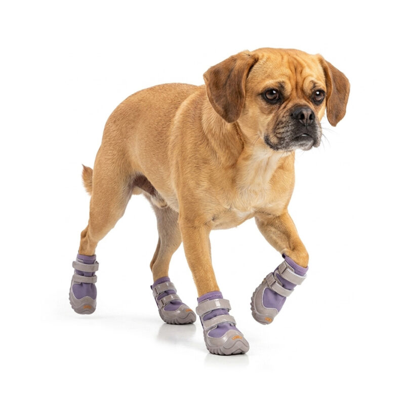 Active tan colored dog walking smoothly in easy-on-off dog shoes featuring a taro purple windproof upper.