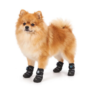 A fluffy orange Pomeranian dog standing on a white background wearing stealth black ergonomic dial dog shoes.