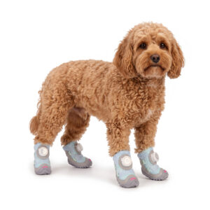 An apricot Cockapoo standing on a white background wearing macaron blue dazzling dial-fit dog shoes with grey soles.