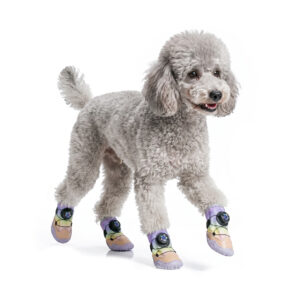Grey Poodle Trotting In Gradient Dial-Fit Dog Shoes Unicorn Pink Grey poodle trotting forward smoothly wearing unicorn pink gradient dial-fit dog shoes with lavender rubber soles.
