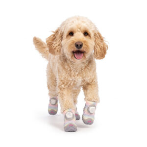 A cream Goldendoodle dog trotting forward on a white background wearing unicorn pink dazzling dial-fit dog shoes.