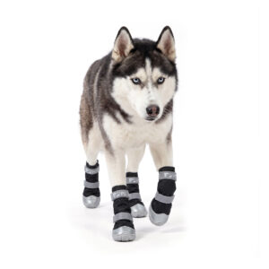 Siberian Husky walking in stealth black high-top outdoor boots featuring reinforced silver toe guards.