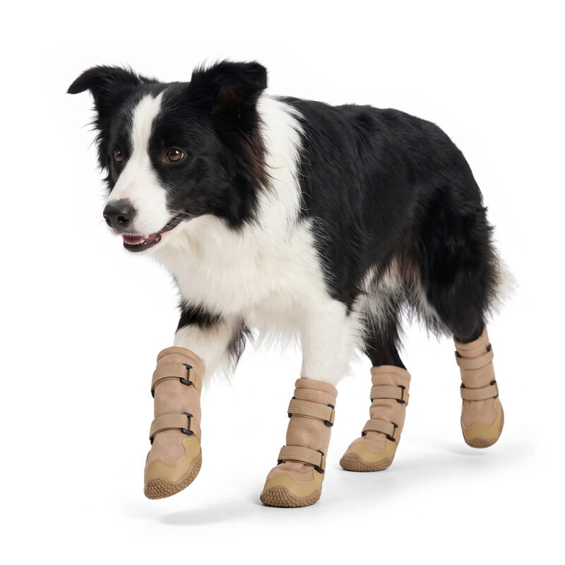 Border Collie strutting in khaki tan high-top outdoor dog boots displaying high-density woven mesh fabric.