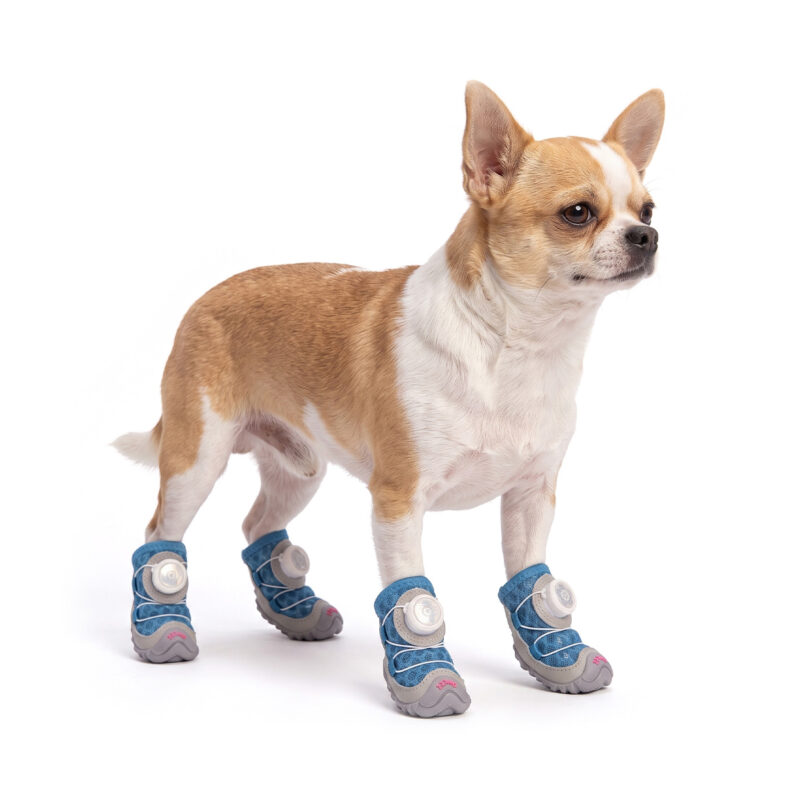 Denim Blue Honeycomb Mesh Dog Shoes on Chihuahua A brindle Chihuahua standing on a white background wearing denim blue honeycomb mesh dog shoes.