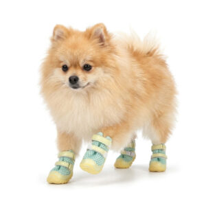 Pomeranian Walking In Honeycomb Mesh Dog Shoes Sage Green Fluffy Pomeranian dog walking forward wearing sage green honeycomb mesh dog shoes with a light yellow flexible sole.