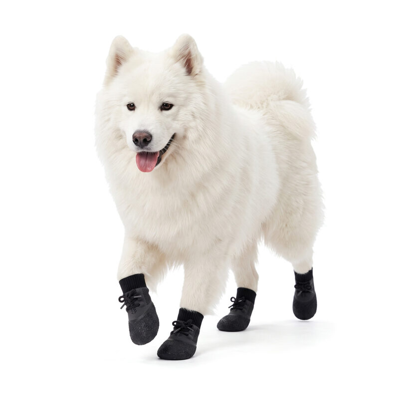 White Samoyed trotting confidently in stealth black lightweight running dog socks featuring a secure lace-up closure.