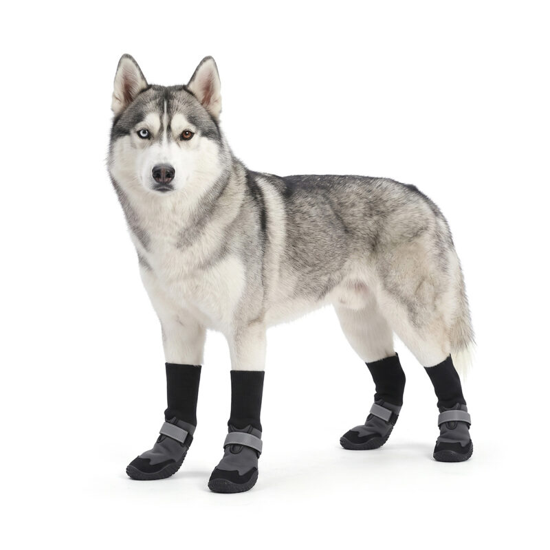 Siberian Husky showcasing silver gray long sleeve large dog boots with integrated protective black rubber outsoles.