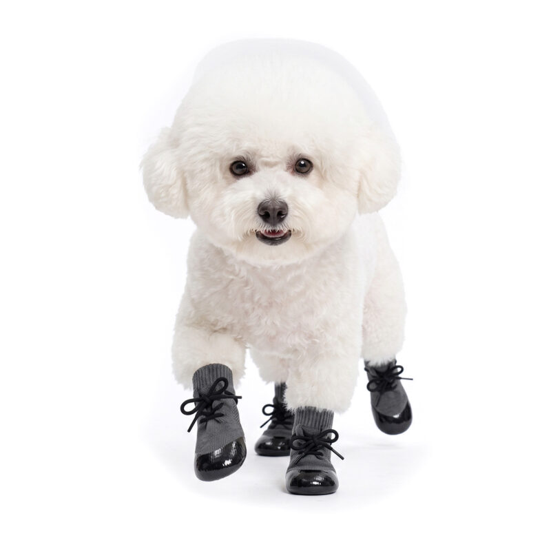Happy white Bichon Frise running forward wearing silver gray no-slip socks for hardwood floors.