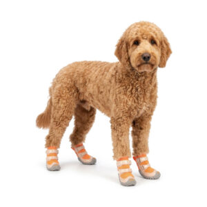 Goldendoodle Wearing Patent Leather Dog Boots Tangerine Orange Fluffy Goldendoodle standing wearing tangerine orange patent leather dog shoes with secure double straps.