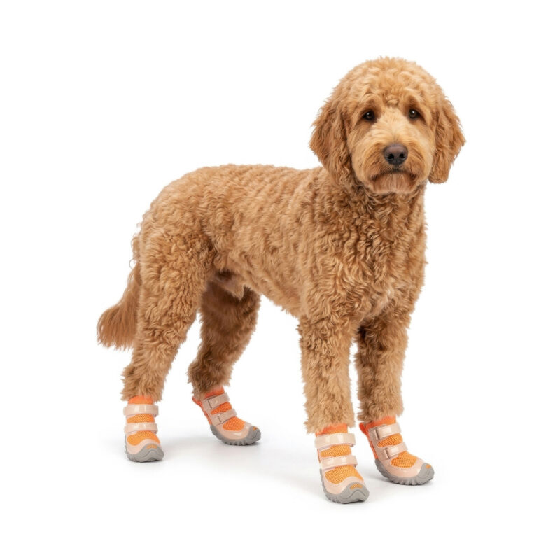 Goldendoodle Wearing Patent Leather Dog Boots Tangerine Orange Fluffy Goldendoodle standing wearing tangerine orange patent leather dog shoes with secure double straps.