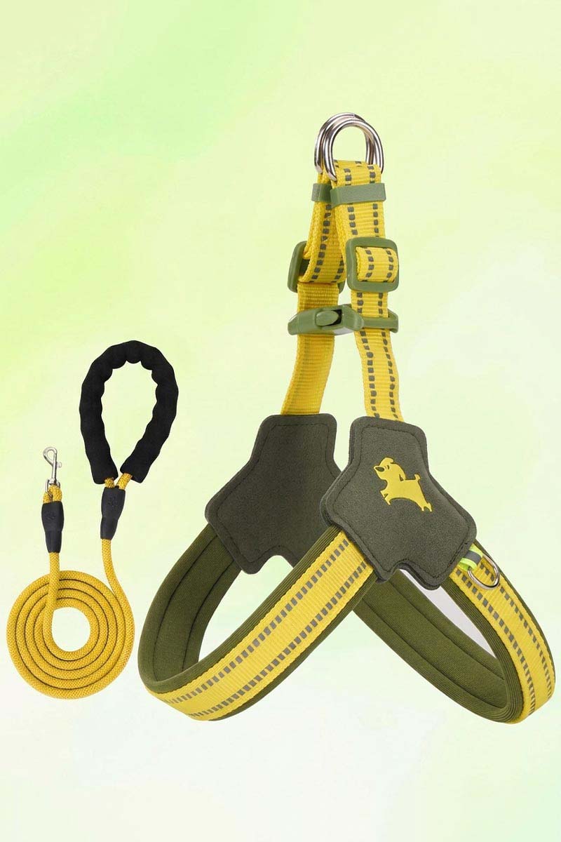 Olive green and yellow padded reflective dog harness and matching rope leash.