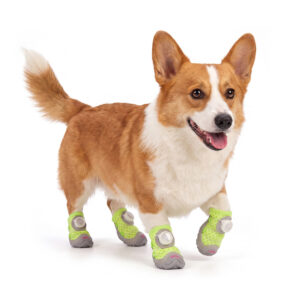 Neon Lime Quick Adjust Dial-System Dog Shoes on Corgi A Pembroke Welsh Corgi running forward on a white background wearing neon lime quick adjust dial-system dog shoes.