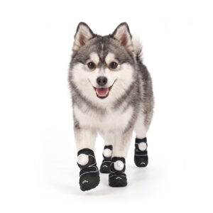 Stealth Black Quick Fastening Dial Dog Shoes on Klee Kai A small grey and white Alaskan Klee Kai running forward wearing stealth black quick fastening dial dog shoes.