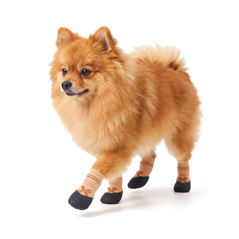 Fluffy Pomeranian trotting in khaki tan rainy day paw protectors with a seamless leakproof dipped design.