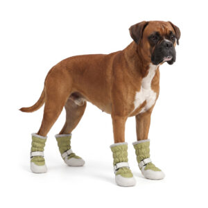 Boxer dog showcasing sage green snow proof outdoor dog boots with adjustable toggle drawstring closures.
