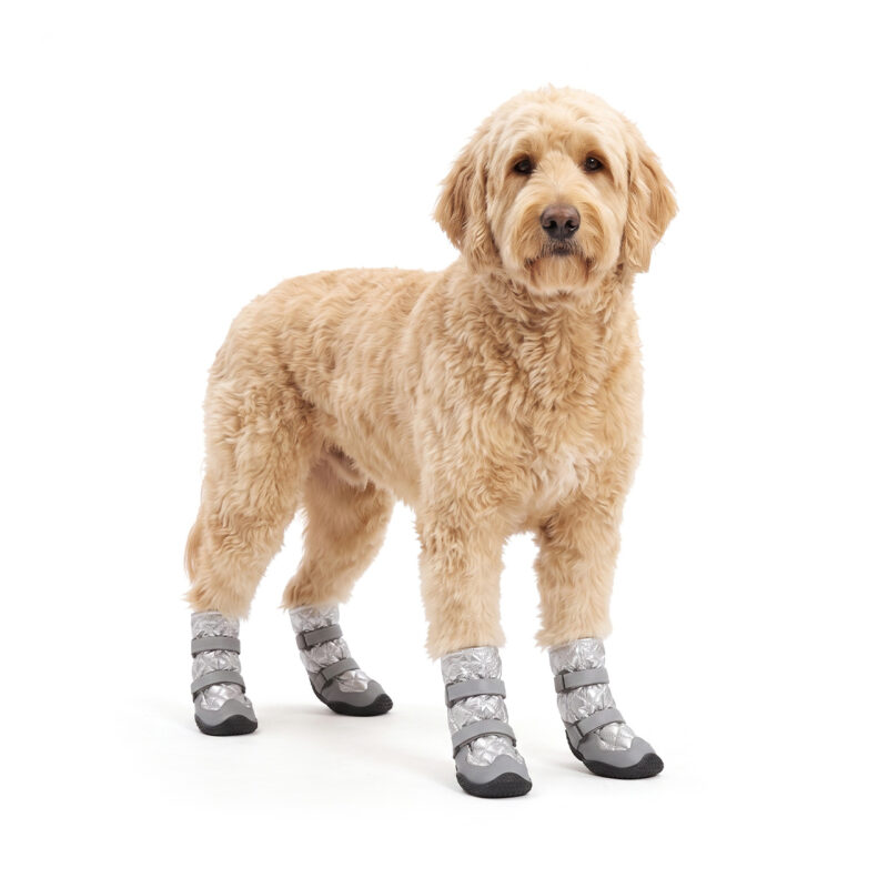 Snow Waterproof Dog Boots On Goldendoodle Breed Goldendoodle standing wearing silver gray snow waterproof dog boots with high-top quilted ankle sleeves.
