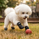 A small white Bichon Frise dog reaching for a red ball on green grass wearing stealth black soft-sole non-slip paw protectors.