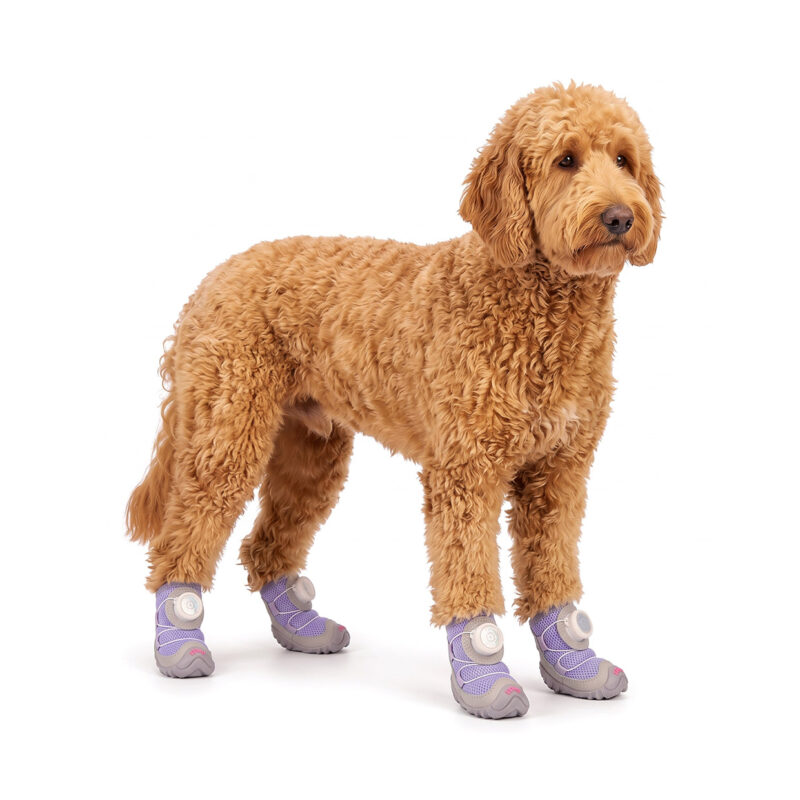 Taro Purple Sparkly Mesh Dog Shoes on Doodle An apricot Goldendoodle standing on a white background wearing taro purple sparkly mesh dog shoes.
