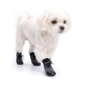 White Maltese walking in denim blue stay-on socks for active dogs featuring a secure front lace-up tie.
