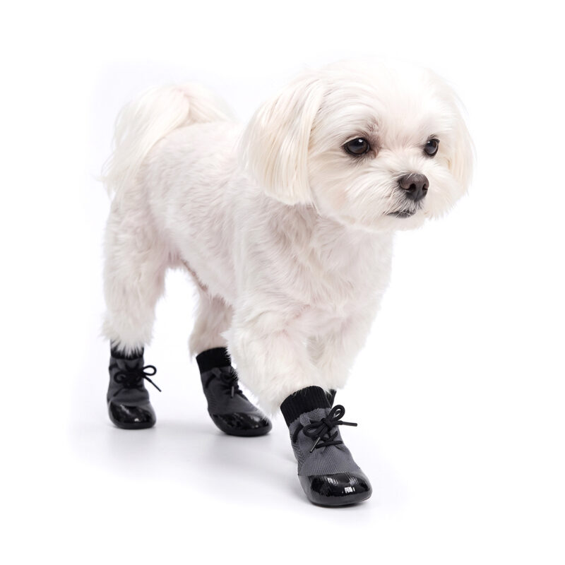 White Maltese walking in denim blue stay-on socks for active dogs featuring a secure front lace-up tie.