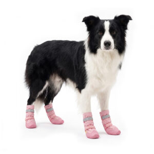Stretch Fabric Dog Boots On Border Collie Border Collie standing in blush pink stretch fabric dog boots featuring dual wrap reflective ankle straps.