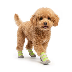 Poodle Walking in Summer Dog Shoes For Hot Pavement Neon Lime Happy light brown poodle walking forward in neon lime summer dog shoes for hot pavement heat relief.