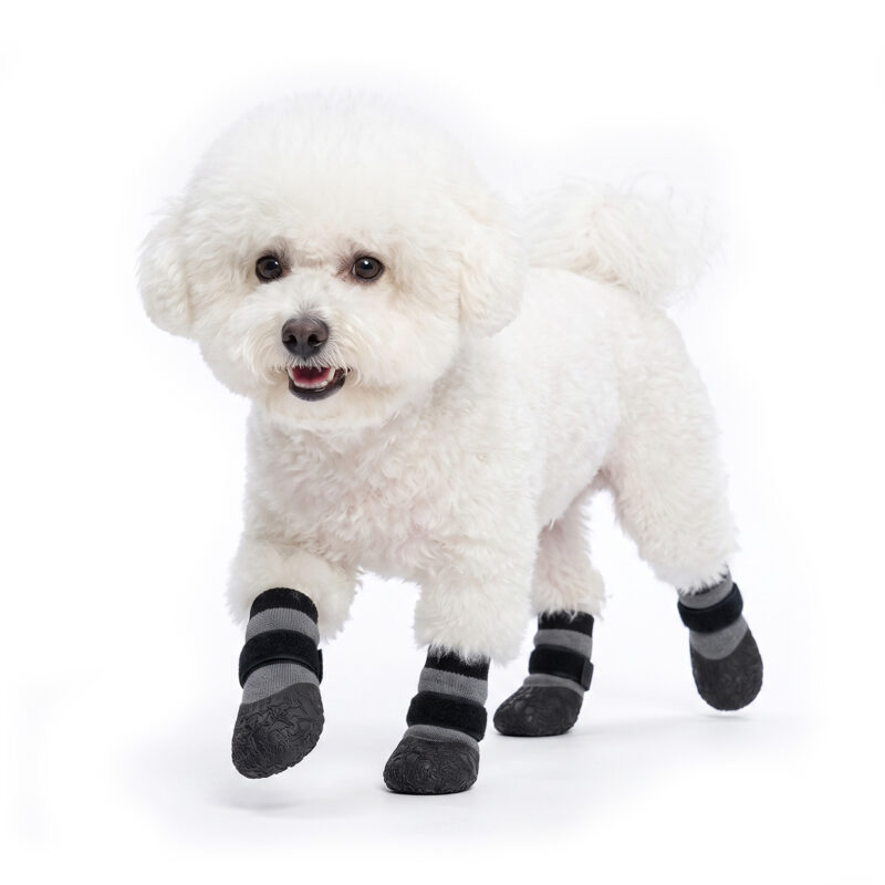 Fluffy white Bichon Frise walking mid-stride in silver gray textured sole dog booties with non-slip grip.