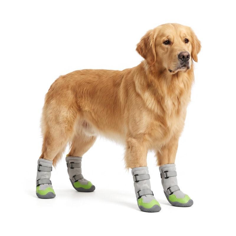 Golden Retriever standing in neon lime thick mesh dog boots featuring secure high-top double magic straps.