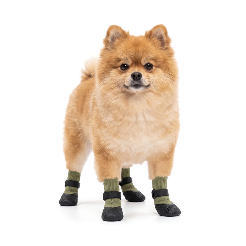 Fluffy Pomeranian wearing sage green washable mesh dog booties with textured non-slip rubber outsoles.