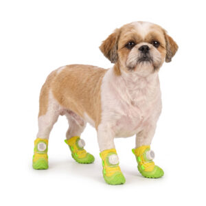 A small tan and white Shih Tzu dog standing on a white background wearing lemon yellow water resistant dog shoes.