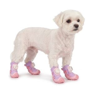 A small white Maltese dog standing on a white background wearing taro purple water-resistant leather dog shoes.