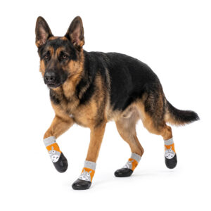 German Shepherd walking wearing gray and orange waterproof dipped dog booties featuring a cartoon design.